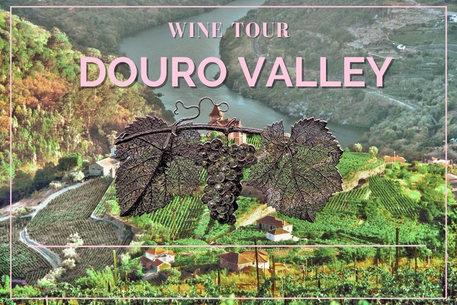 Wine Tour in Douro Valley